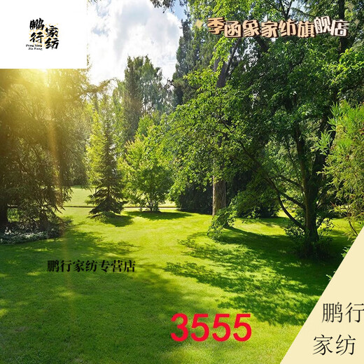 DZQ主播直播间室外夜间风景路灯农村小路风景布3d立体网红直播背景布 1.5米宽2米高 109