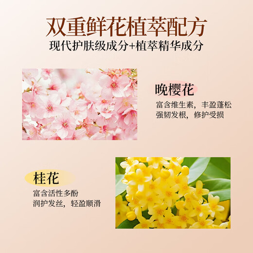 浅香洗发水控油蓬松洗发露氨基酸洗头膏男女士香氛洗发乳520g*2