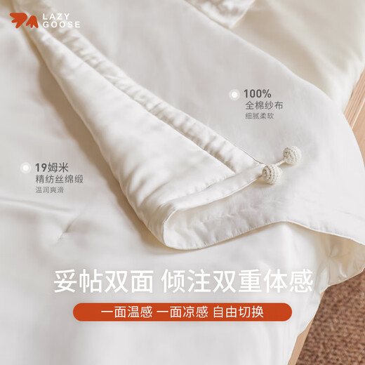 LAZY GOOSE懒鹅真丝棉纱布双面儿童被100%桑蚕丝新生儿毯子婴儿四季被子