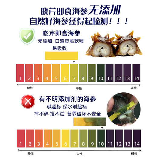 Xiaoqin Dalian frozen ready-to-eat sea cucumber 500g 10-14 pieces * 2 bags Liao sea cucumber seafood aquatic products non-gift box