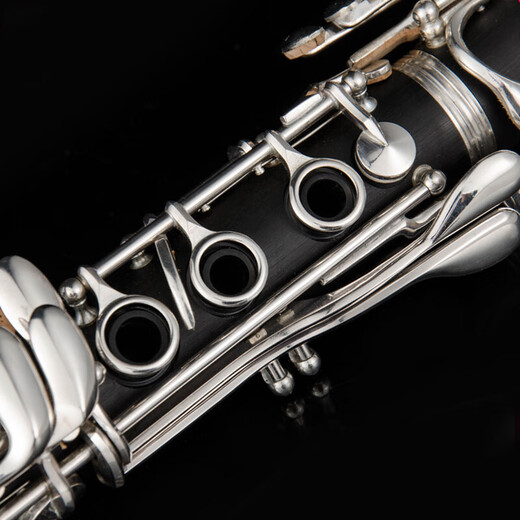 Golden sound clarinet instrument B-flat black tube, beginners' professional grade performance JYCL-W100
