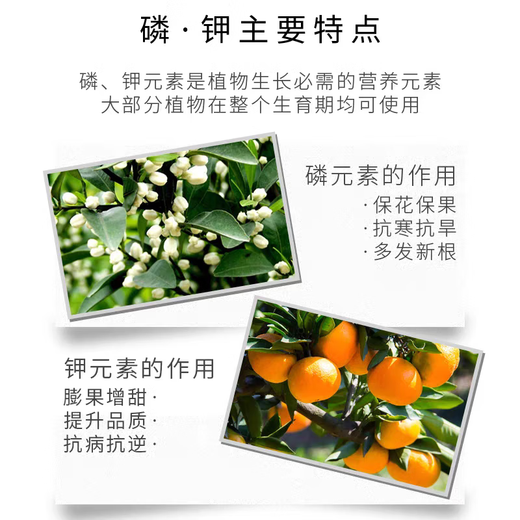 Guoguang Potassium Dihydrogen Phosphate Fertilizer Plant Flower Special Foliar Fertilizer Clivia Large Element Water-soluble Fertilizer Agricultural 98% Potassium Dihydrogen Phosphate 100g 100g 1 bag