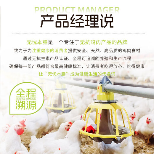 Dacheng Anti-Anti-Chick-Flügel 690 g frische frische Hühnerflügel Keine Antibiotika-Zertifizierung gerösteter Hühnerflügel geschmorte Hühnerflügel Flügel