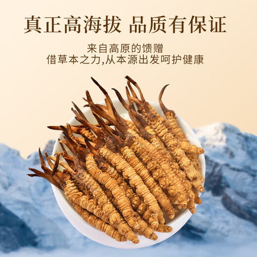 万草康仁冬虫夏草精选草藏区鲜干虫草滋补营养送母亲节礼物滋补品送长辈 3根/克 50g（礼盒装）送同款2g+藏红花*2