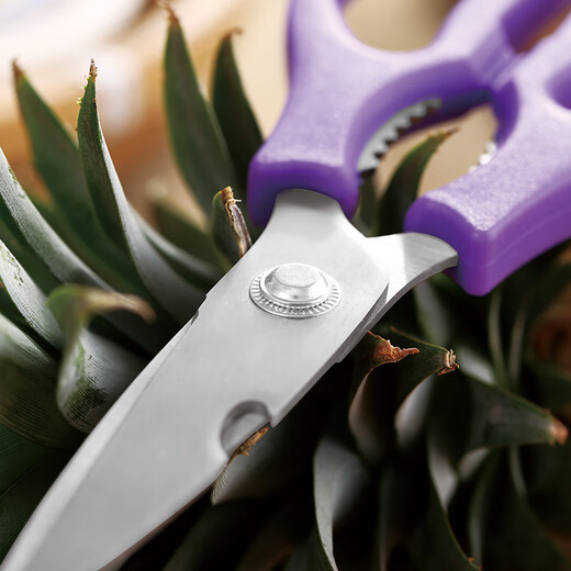 Beard King Ciseaux multifonctions pour barbecue commercial, poulet et poisson, ciseaux de cuisine tranchants, ciseaux puissants en os de poulet pour couper le fil, acier inoxydable spécial violet