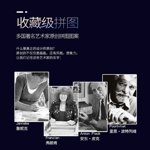 贝木惠荷兰拼图jumbo拼图 falcon系列成人1000片进口拼图儿童拼图 1000片-夏季音乐节11304