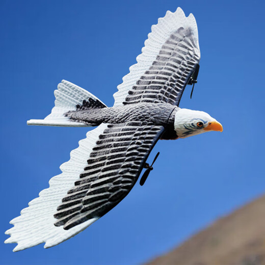 Aeronave de control remoto de volantes simulados de Burjuman, el águila puede volar a la aeronave eléctrica de aviones de ala fija, avión remoto, control remoto Eagle [paquete de regalo] Paquete de tres electricidad (la otra pieza es de 4 piezas en total)
