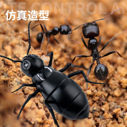 QISEN electric toy remote control ant simulation machine that can walk 2-4 year old boys, babies and girls can crawl children's gifts Classic version - remote control ladybug red model 9922+ snail upgraded version with another 24 electronics