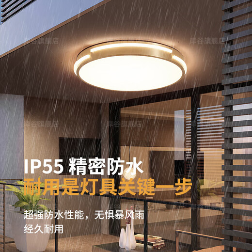 耐用全铜阳台吸顶灯户外防水防蚊虫入户门前灯别墅阳光房庭院 新X3890/51CM/三色可调