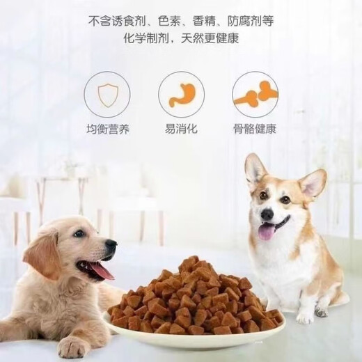 Baiman puppy special milk cake dog food Teddy Bichon VIP Pomeranian 1-12 months small dog puppies puppy milk cake food Beef nutritional fattening staple food (puppies) 1 Jin Jin equals 0.5 kg Trial pack (returnable after opening)