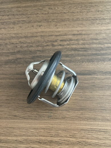 Litian Yingzhi 727 thermostat 737 moteur thermostat refroidisseur G5 thermostat thermostat réglage de la température 727/737/G5