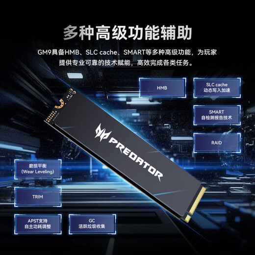 宏碁掠夺者（PREDATOR）1TB SSD固态硬盘 M.2接口(NVMe协议) GM9系列 NVMe PCIe 5.0读速14000MB/s AI电脑存储配件