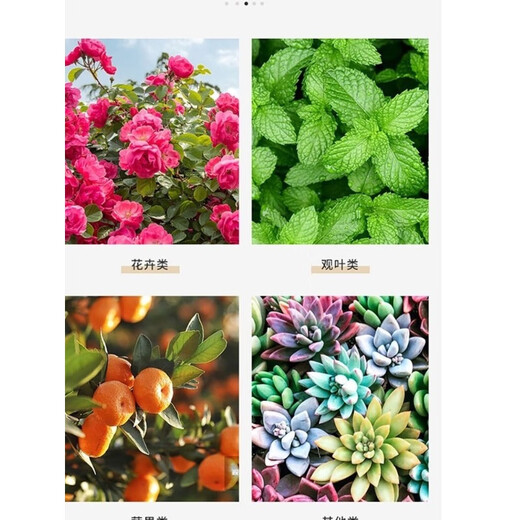 Stanley San'an Compound Fertilizer official 100 Jin Jin is equal to 0.5 kg, vegetable agricultural wheat fertilizer general organic fertilizer 20 Jin Jin is equal to 0.5 kg.