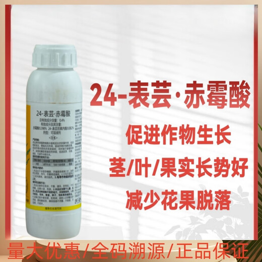 24 Epirutina gibberellic acid rooting and seedling strengthening regulator to alleviate phytotoxicity and adjust crop growth dual compound pesticide 500g