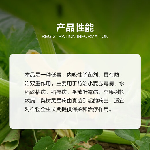 Riscao méthyle 70% thiophanate thiophanate de méthyle Gibberellus maladie de la gale du charbon fongicide pesticide 20g