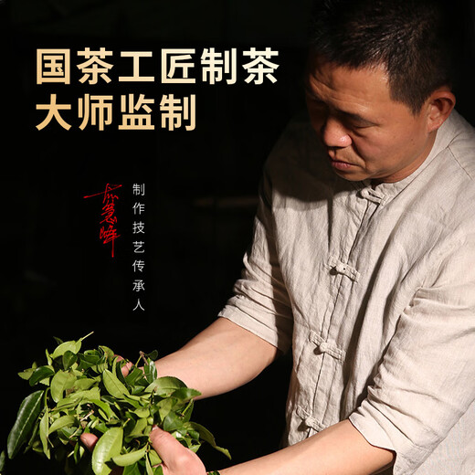 山国工夫茶乌龙茶 安溪铁观音清香型2025新茶250g独立小包装 茶叶送礼自己喝