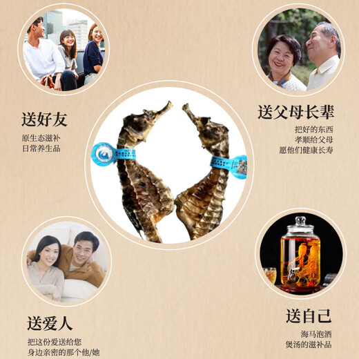 Haima medicinal materials, one male and one female, large seahorse dried wine combination, hexagonal sea dragon sea sparrow nourishing soup gift box 1 pair 4 grams (2 male and female 12-13cm)