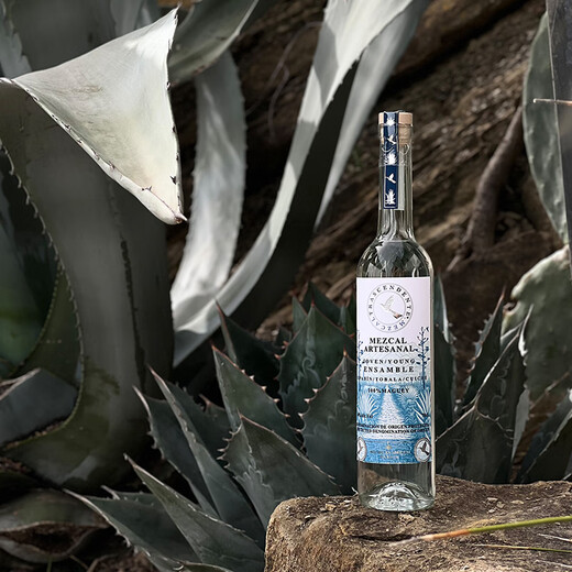 
The extraordinary bird Mezcal hand-selected blended tequila Mezcal imported spirits Hand-selected blended tequila