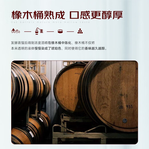 巴一戈尔法国进口洋酒 40°烈酒 XO白兰地 鹿维斯 700mL*2礼盒装