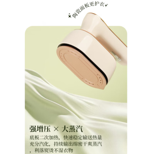 RASW德国手持挂烫机家用小型便携式蒸汽熨斗烫衣服熨烫机宿舍旅行神器 高配款【陶瓷面板】熨烫效果好