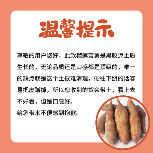 Jingxiansheng Authentic Shandong Durian Sweet Potato 3Jin Jin equals 0.5kg Single Fruit 100g+ Sweet Potato Sweet Potato Sweet Potato Vegetable Whole Grain Straight from the Source