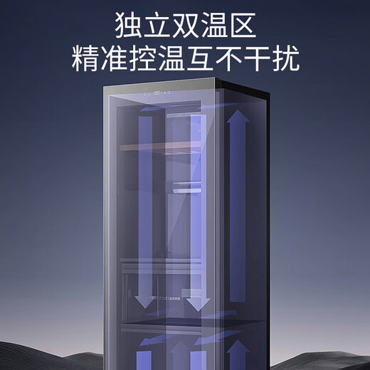 Casarte 251-liter flat embedded ice bar bar cabinet living room home three-temperature zone office refrigerator large space wide variable temperature air-cooled frost-free 251WLC4DG1U1 gray dual-temperature zone 251L