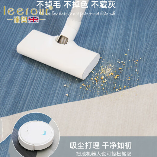 Alfombra de sala de estar de lei'erout No lavable el sofá lavable Mat de la zona grande Sala completa Home Home Home Implay Simple No. 13567 250cm*180cm (suave y fácil de cuidar)
