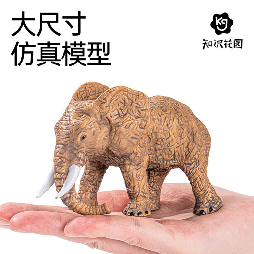知识花园动物模型玩具儿童3-6岁动物园男女孩六一儿童节礼物 56件套