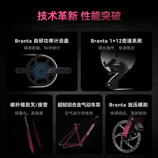 喜德盛（xds）xds ad350喜德盛ad350 25款公路车喜德盛公路车公路自行车喜德盛 2025款|鸽子灰 700Cx480mm|身高165-175cm