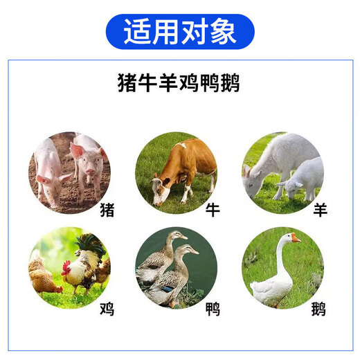 Tocopherol Veterinary VE Vitamin E Powder Pig, Cattle, Sheep and Poultry Reproduction and Development Powder Stand-by Feed Additive Tocopherol 1000g/bag