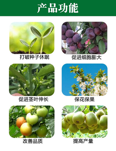 24 table Brassica gibberellic acid gibberellin tea germination grape plum fruit tree flower and fruit preservation medicine special pesticide pesticide 1000g 20g x 50 bottles