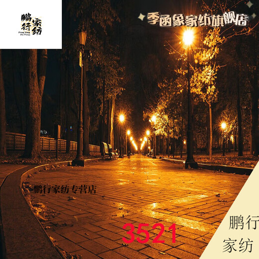 DZQ主播直播间室外夜间风景路灯农村小路风景布3d立体网红直播背景布 1.5米宽2米高 109