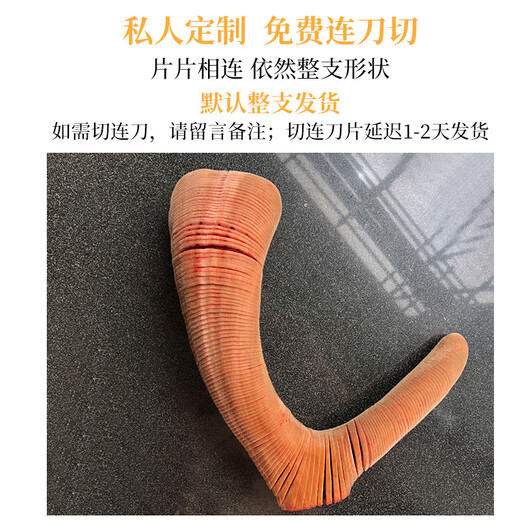 Yongcheng high-quality fresh sika deer antler prunes, deer farm direct sales, sliceable 2025 first stubble antler fresh with blood, 841 grams of fresh sika deer antler