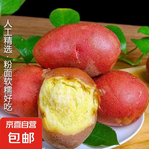 Hebei red-skinned large potatoes, fresh yellow-heart potatoes, freshly dug potatoes, ground eggs, potato noodles, hot pot wholesale, red-skinned large potatoes, 5Jin Jin is equal to 0.5kg, net weight, single fruit 150g+