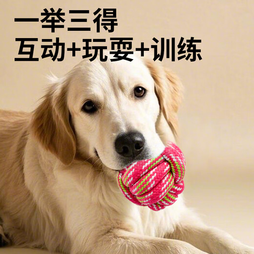 Zanpet Macaron, bite-resistant and molar-resistant rope ball 3-piece set, large size, pet big dog dog toy, self-entertainment and boredom relief, Bichon Frize