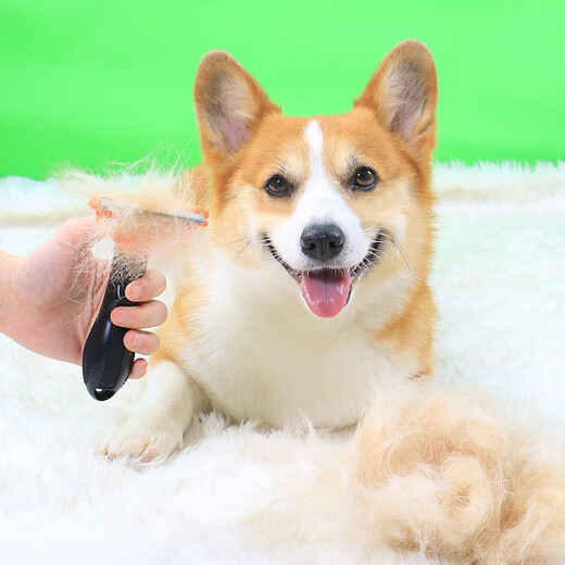 Pet Corgi dog comb combing brush to remove floating hair artifact Teddy Shiba Inu dog hair special supplies small dogs orange special for removing floating hair