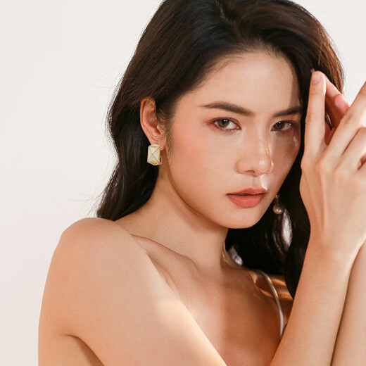 Qlady geometric earrings for women 2025 new high-end earrings feminine temperament light luxury niche ear jewelry birthday gift