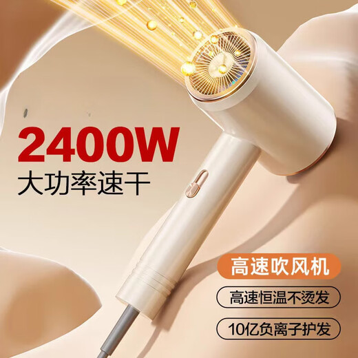 HXR飞利PHILPS浦电吹风同款吹风机家用负离子护发静音大风力速干发廊理发店专用冷热电吹风筒 【典雅米】【2400W】【9900