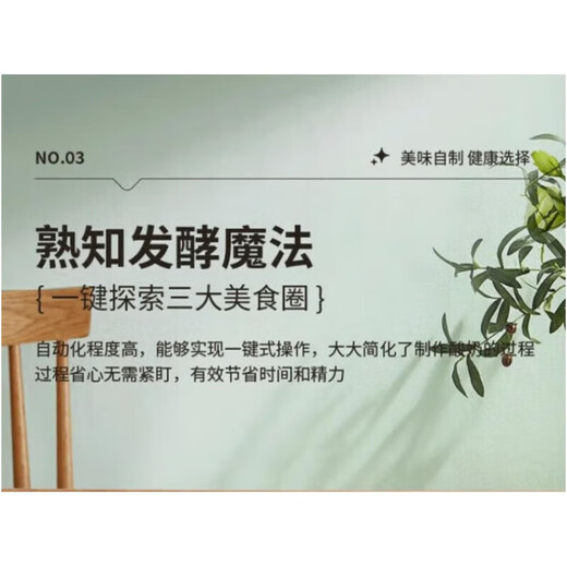 RASW德国家用酸奶机全自动便携式酸度可调恒温发热酸奶发酵机陶瓷4分杯+不锈钢内胆家用全自动酸奶机 【国标中国内地用】机械版新款