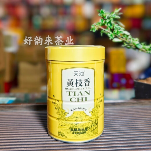 天池1392凤凰单丛 青山系列正宗乌岽单枞 黄枝香蜜兰香春茶125克 黄枝香 青山系列