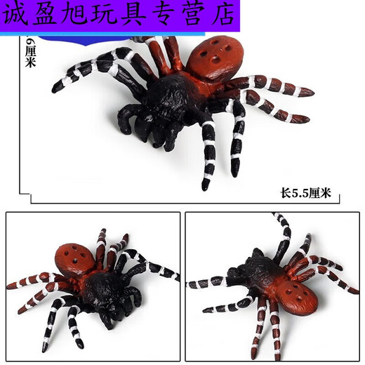 Simulation du village de Shantoulin Spider Spider Halloween Prank Toy Simulation Spider Venomous Spider Insect Modèle Animal Ox-684 Brésilien Red Velvet Spider 0.009