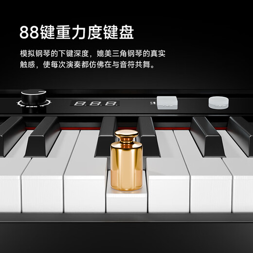 贝琪（Betsy） 电钢琴88键成人儿童便携折叠钢琴新手入门幼师学生初学电子钢琴 B175【经典款】-黑色 套餐三：标配+Z型琴架