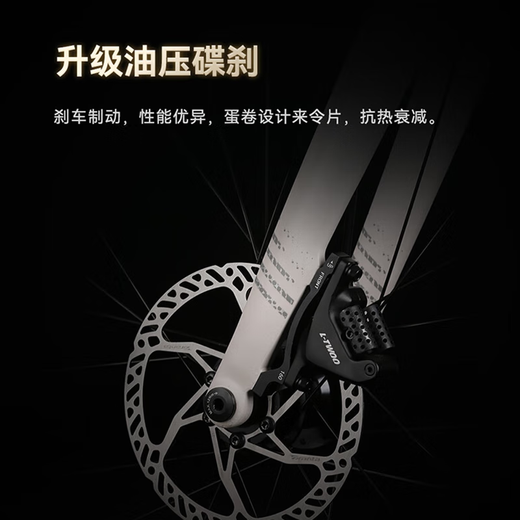 喜德盛（xds）xds ad300喜德盛ad300 25款山地车喜德盛公路车公路自行车喜德盛 2025款|白蛇 700Cx510mm|身高175-185cm