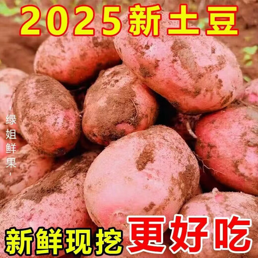 Hebei red-skinned large potatoes, fresh yellow-heart potatoes, freshly dug potatoes, ground eggs, potato noodles, hot pot wholesale, red-skinned large potatoes, 5Jin Jin is equal to 0.5kg, net weight, single fruit 150g+
