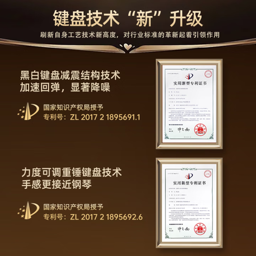 贝琪（Betsy） 电钢琴88键成人儿童便携折叠钢琴新手入门幼师学生初学电子钢琴 B175【经典款】-黑色 套餐三：标配+Z型琴架
