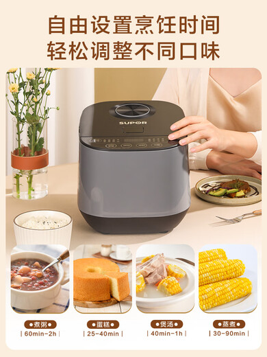 苏泊尔（SUPOR）电饭煲家用小型多功能煮饭锅煲汤煮饭两用小容量智能电饭锅 黑灰色 SF30FC689