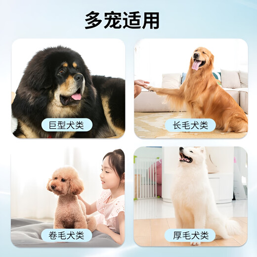 GERTHRON German Pet Dog Hair Comb Border Collie Combing Special Golden Retriever Nail Rake Comb Large Dog Samoyed Hair Removal Combing Companion Wooden Handle - Nail Rake Comb + Anti-static Knot Opening Spray