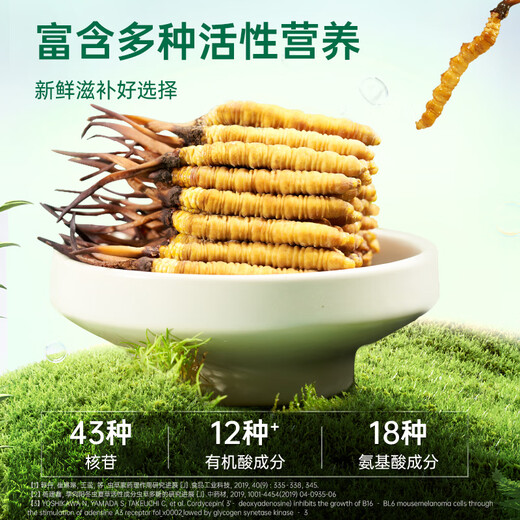 
Purple and blue flowers sea [first 25 years] Fresh Cordyceps sinensis 1.2 grams/20 fresh Cordyceps sinensis straight from the source