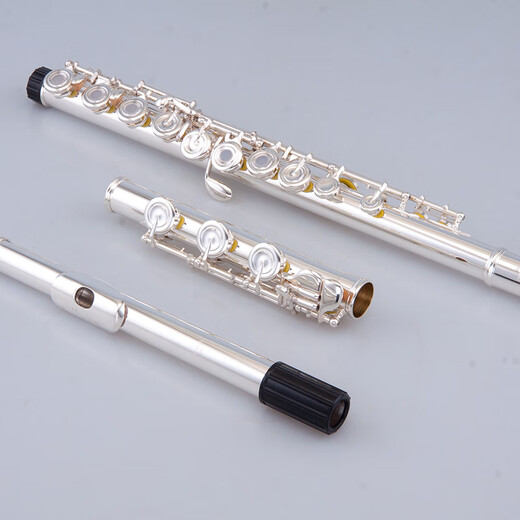 雅马哈（YAMAHA）原装雅马哈长笛乐器镀银C调16 17孔法式开闭孔两用初学考级 16闭孔长笛YFL-212SL(初学)