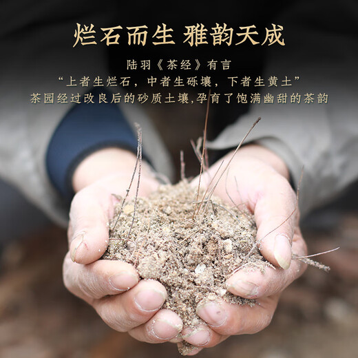 Лу Чженгао зеленый чай Qiantang Longjing Tea Gift Box Специальный уровень 200G Новый чай династия Ming Пожилой весенний чай в середине осени Фестиваль Вест-Лейк подарок